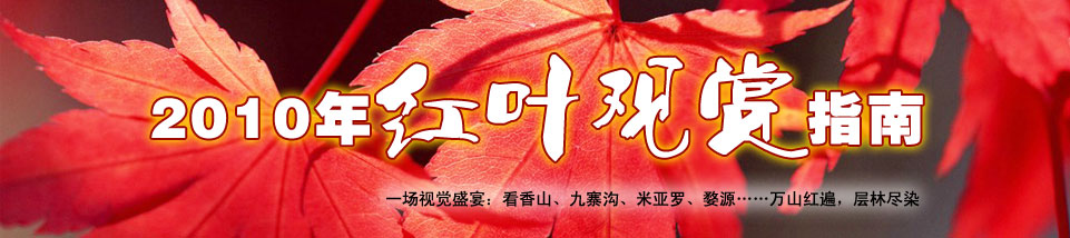 彩色風(fēng)暴來襲2010紅葉最佳觀賞期